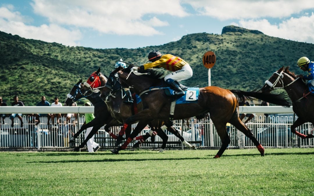 Everything you need to know to ace Melbourne Cup